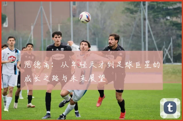 厄德高：从年轻天才到足球巨星的成长之路与未来展望