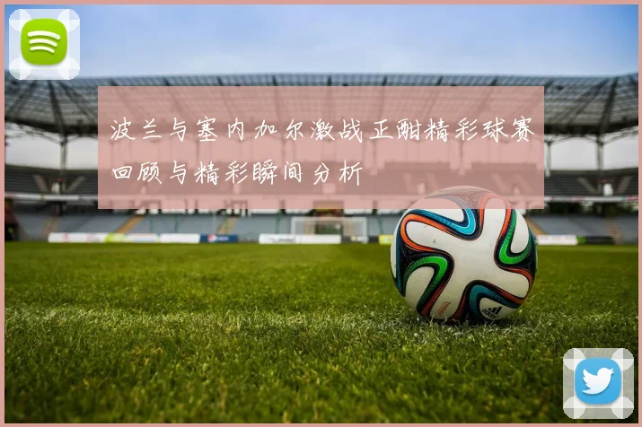 波兰与塞内加尔激战正酣精彩球赛回顾与精彩瞬间分析