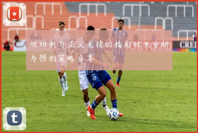 坦珀利与正义竞猜的精彩对决分析与预测策略分享