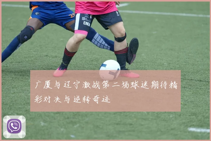 广厦与辽宁激战第二场球迷期待精彩对决与逆转奇迹