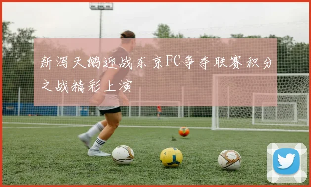 新泻天鹅迎战东京FC争夺联赛积分之战精彩上演