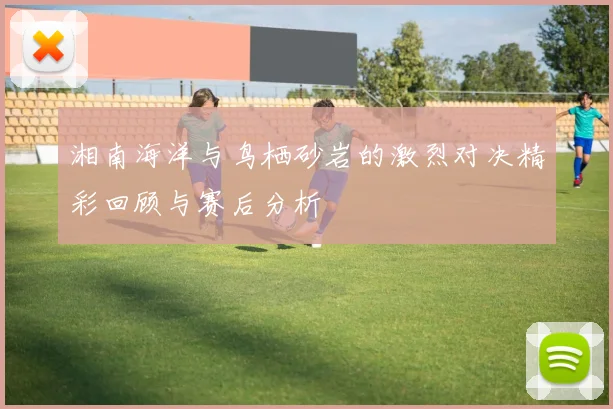湘南海洋与鸟栖砂岩的激烈对决精彩回顾与赛后分析