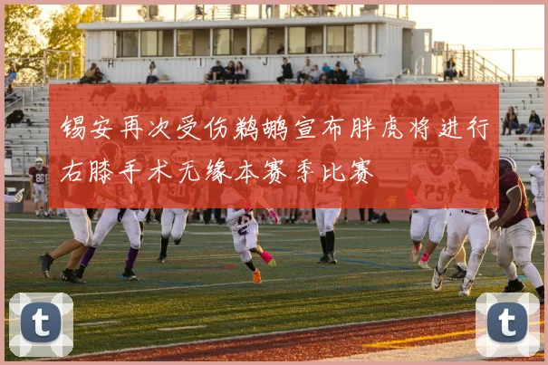 锡安再次受伤鹈鹕宣布胖虎将进行右膝手术无缘本赛季比赛
