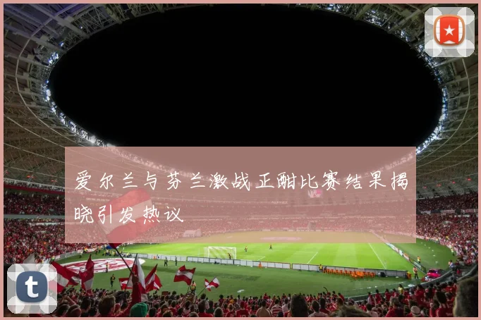 爱尔兰与芬兰激战正酣比赛结果揭晓引发热议