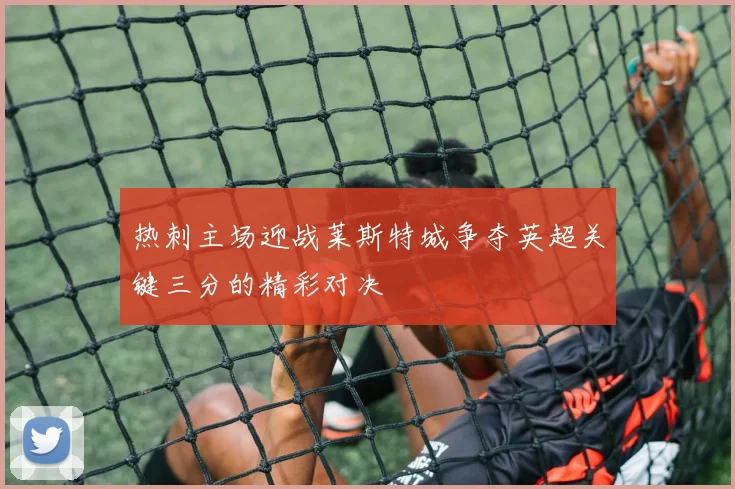 热刺主场迎战莱斯特城争夺英超关键三分的精彩对决
