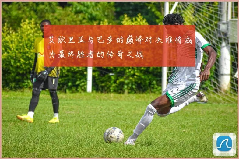 艾欧里亚与巴多的巅峰对决谁将成为最终胜者的传奇之战